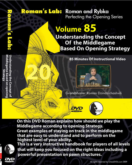 Roman's Lab Vol 85: Understanding the Concept of Middlegame based on Opening Strategy