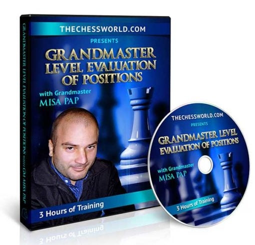 Grandmaster Level Evaluation of Positions with GM Misa Pap