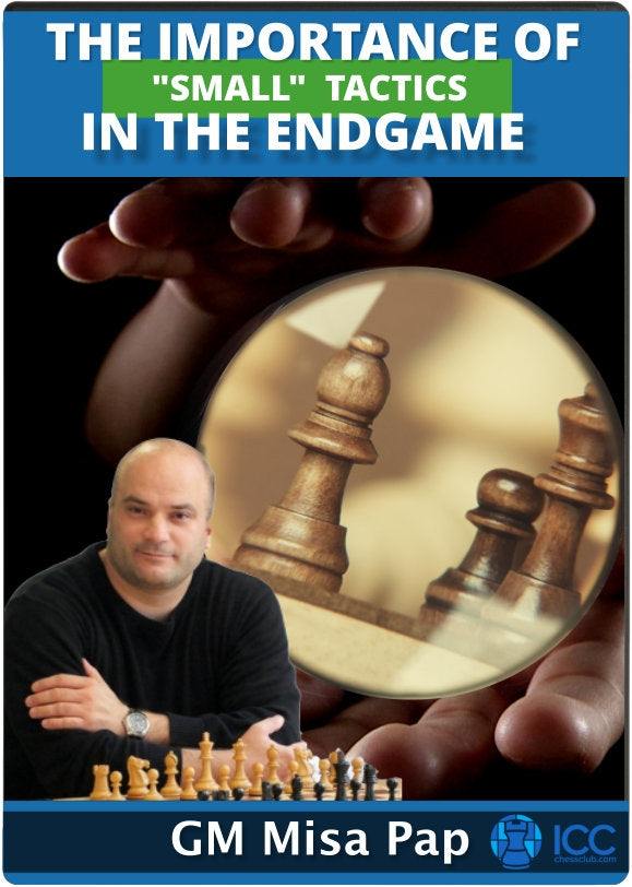 The Importance of "Small" Tactics in the Endgame by Grandmaster Misa Pap